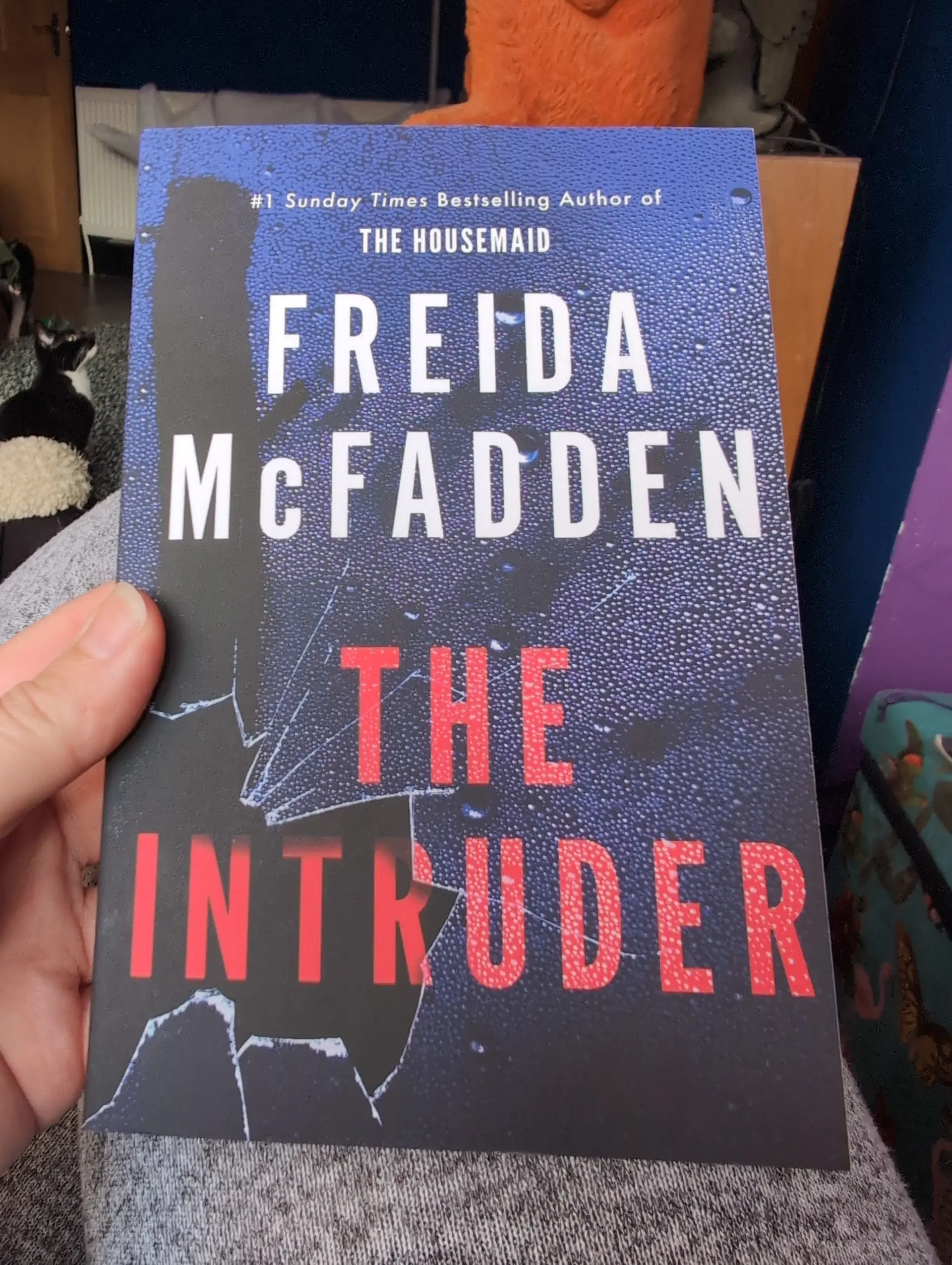 The Intruder